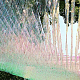 photo-2989887