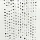 photo-2970036