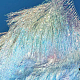 photo-2989878